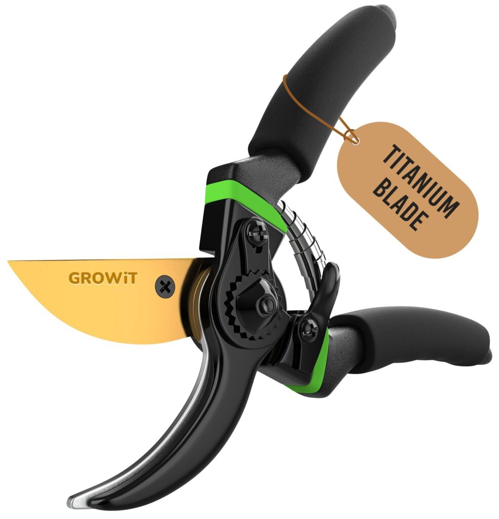 Pruning Shears